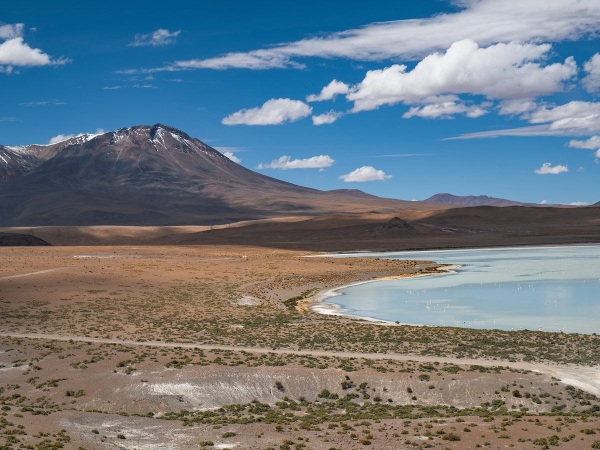 Mountains lake and flamingos seen on Highlights of Bolivia Tour