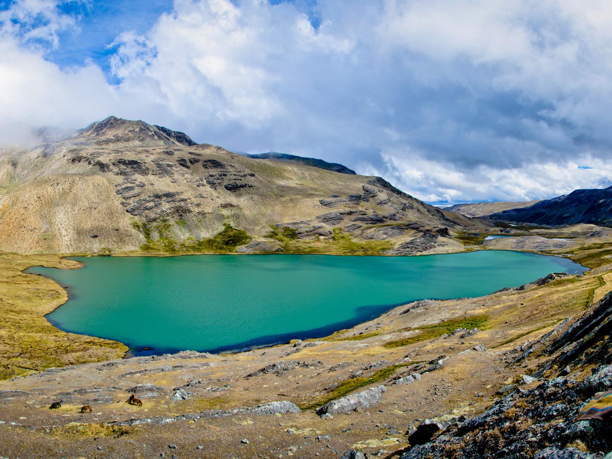 Turquoise tarn in Bolivian Andes visited on Apolobamba Trek with a guide - image by V. Kronental