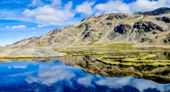 Trekking in the Cordillera Apolobamba