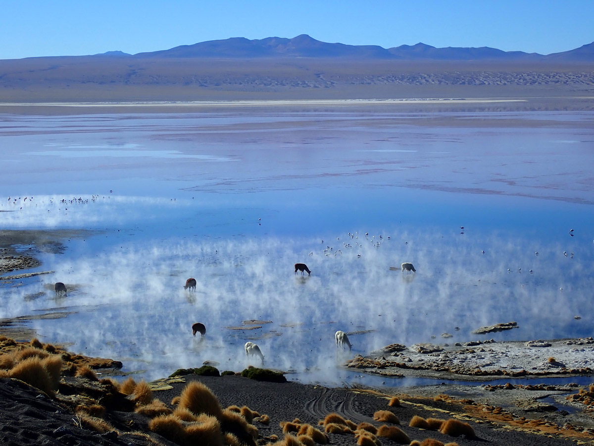 Fog on the lake on Bolivia Adventure Tour