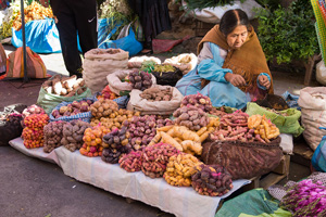 Bolivia Adventure Tour