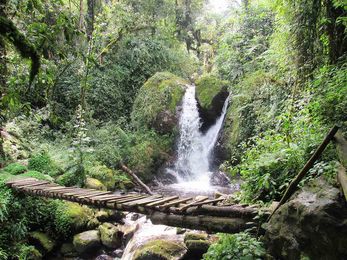Enock falls along the trail to Rwenzori
