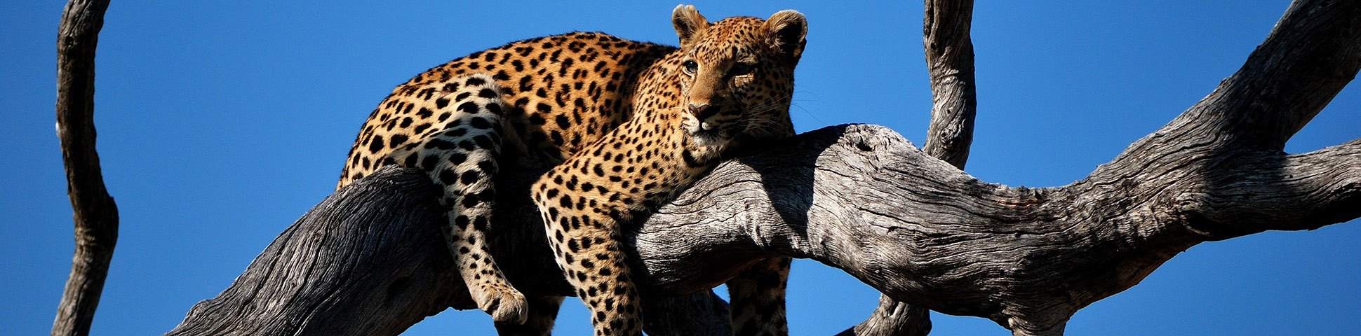 Botswana, Zimbabwe & Namibia Adventure Tour