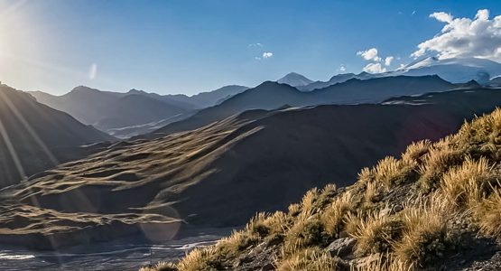 Horseback Riding Andes