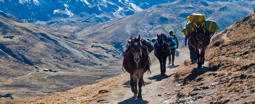Horseback Riding Andes