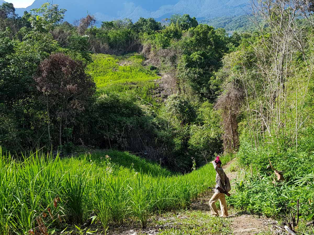 Trekking through the jungle in Malaysia on Sarawak Rainforest Adventure tour