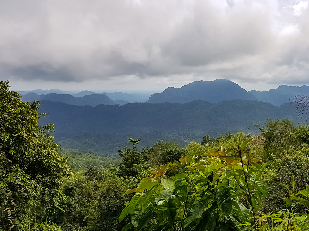 Beautful views of jungle along Sarawak Rainforest Adventure tour in Malaysia