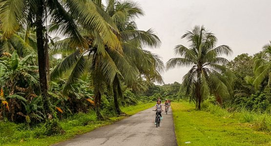 Borneo Coastal Biking Tour