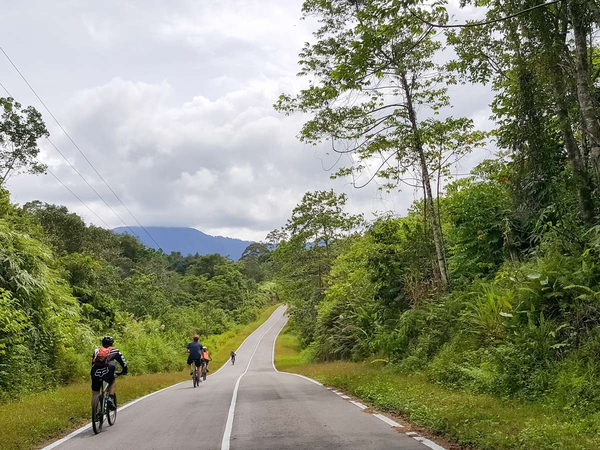 Cyclists bike through Malaysian rainforest along bike ride tour