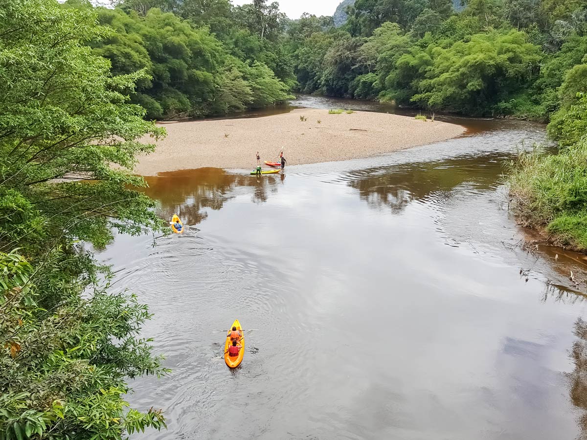 Malaysian rainforest bie tour with kayaking