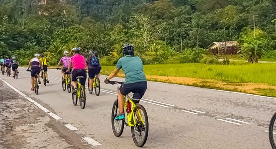 Sarawak Rainforest Bike Discovery