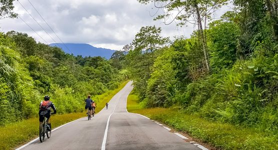 Sarawak Rainforest Bike Discovery