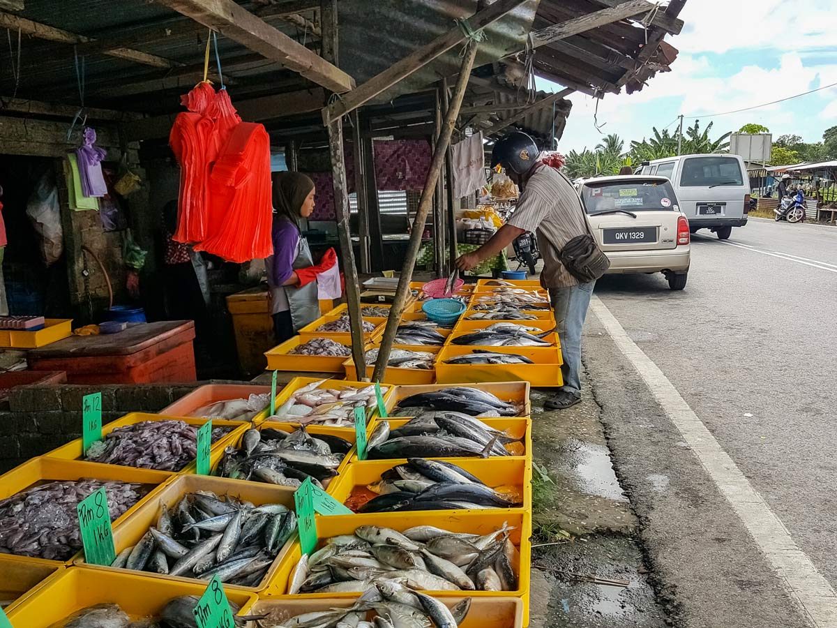 Fish market seen along bike tour malaysia