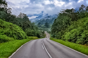 Trans Borneo Road Bike