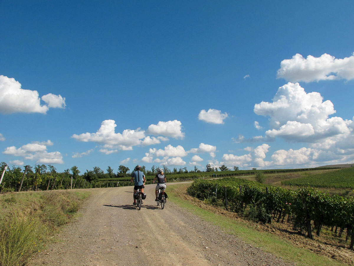 The road to Bagno Vignoni Via Francigena Italy