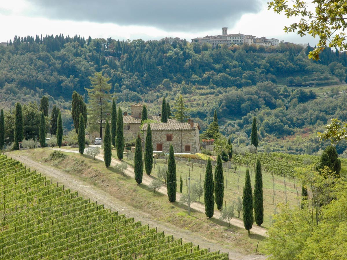 Tuscan countryside views around San Gimignano seen on self guided biking tour