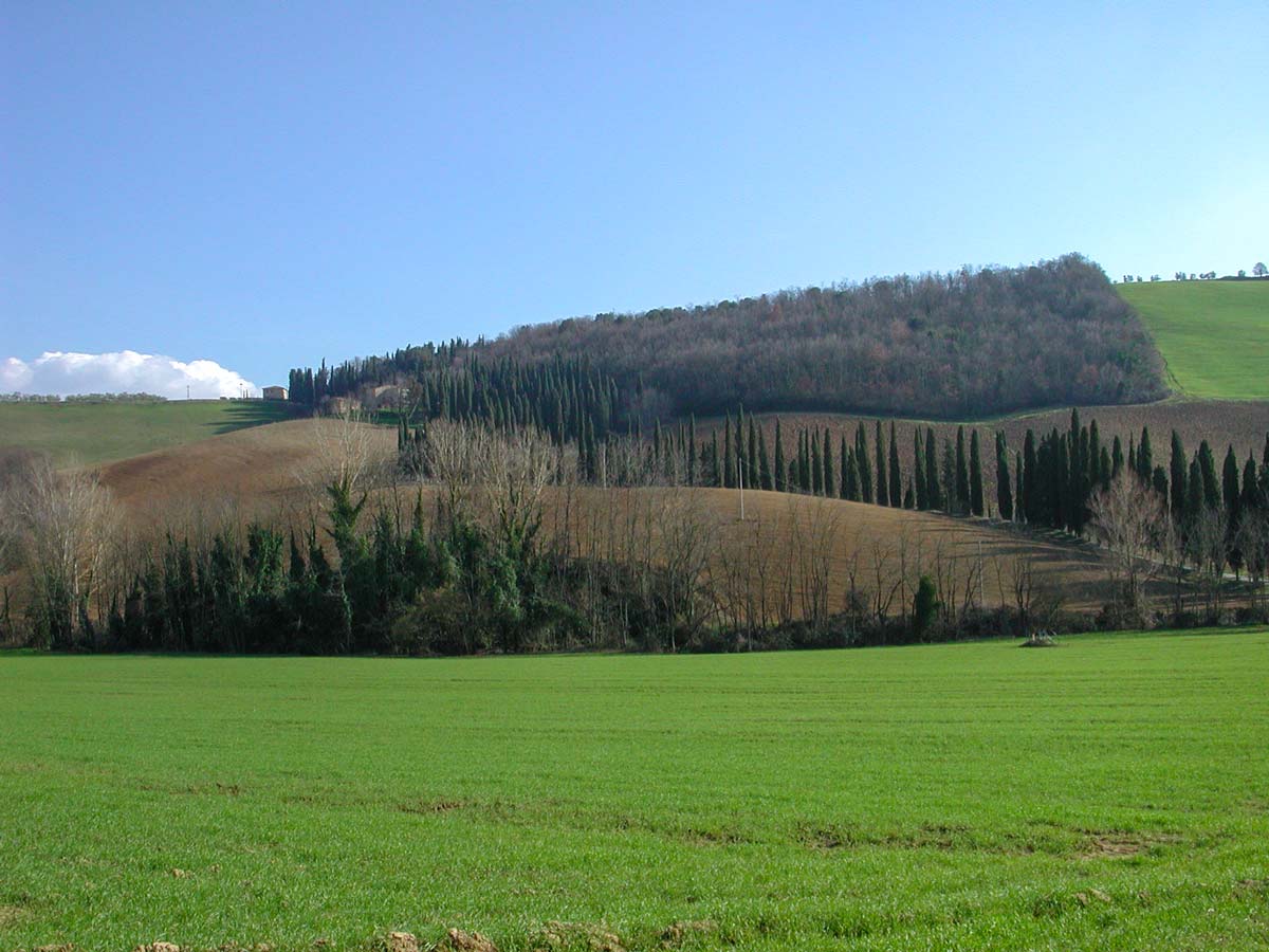 Visiting San Gimignano is one of the highlights of the self guided biking tour in Tuscany