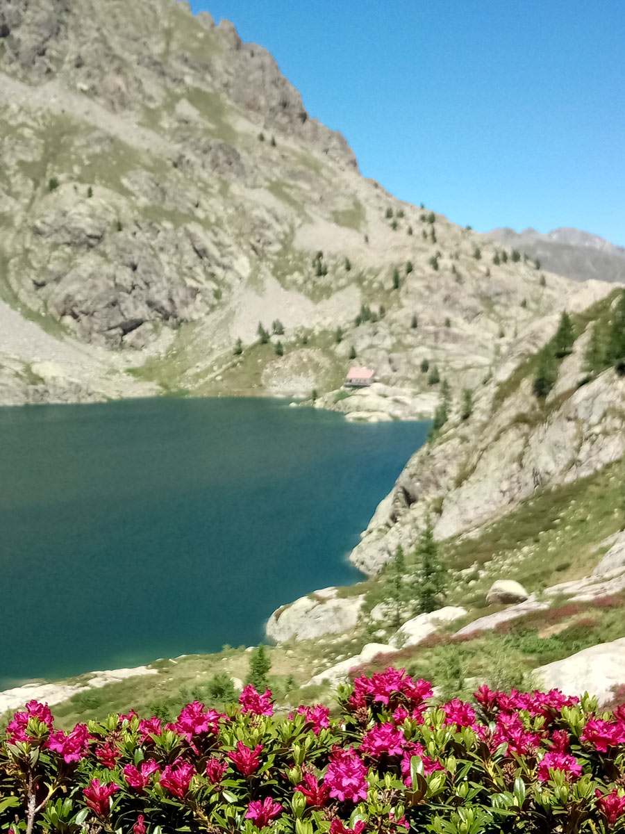 Mountain lake and wildflowers seen hiking along Neolithic tour France