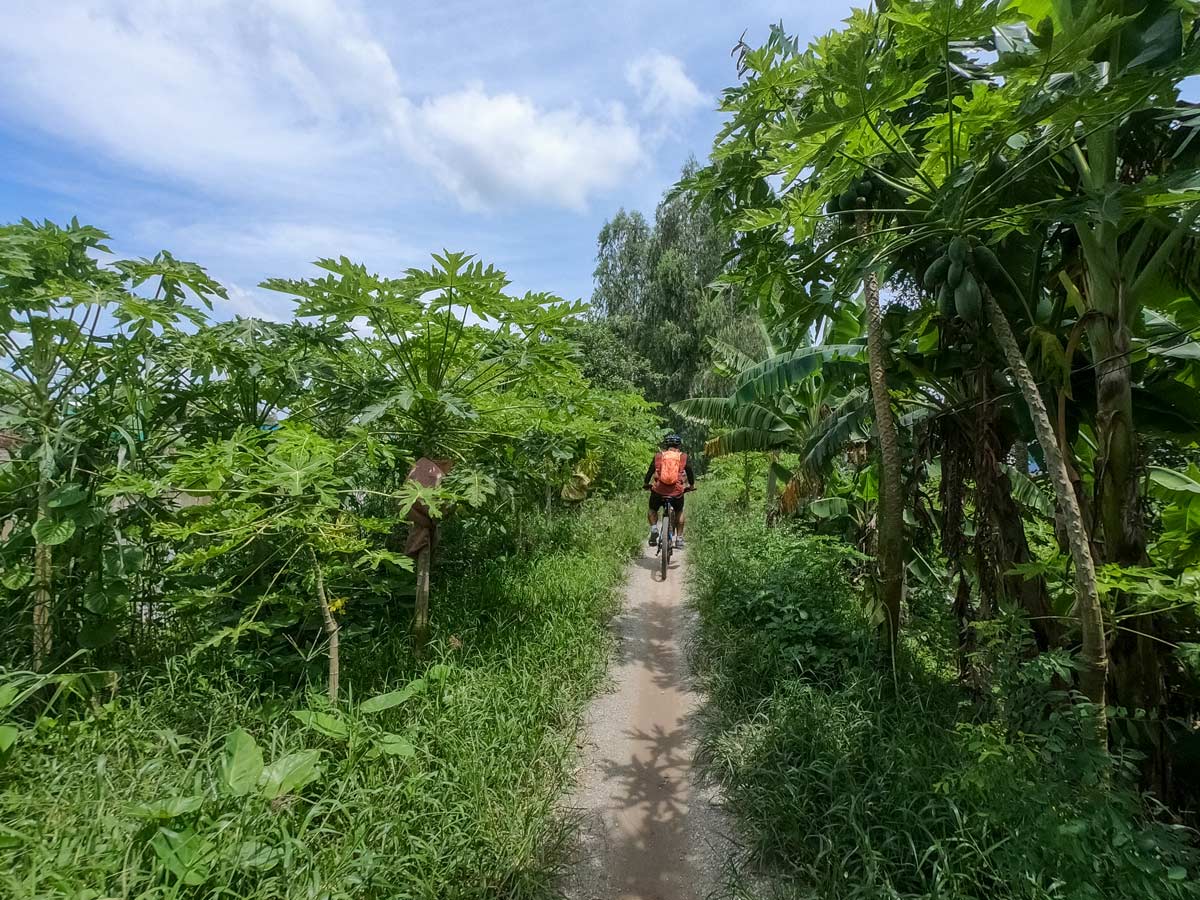 Crossing the farmlands at Chau Doc is a very rewarding experience