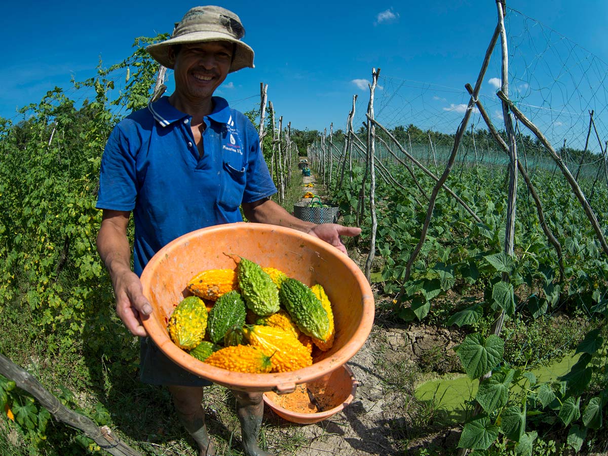 Vietnamese farmer showing off his harvest