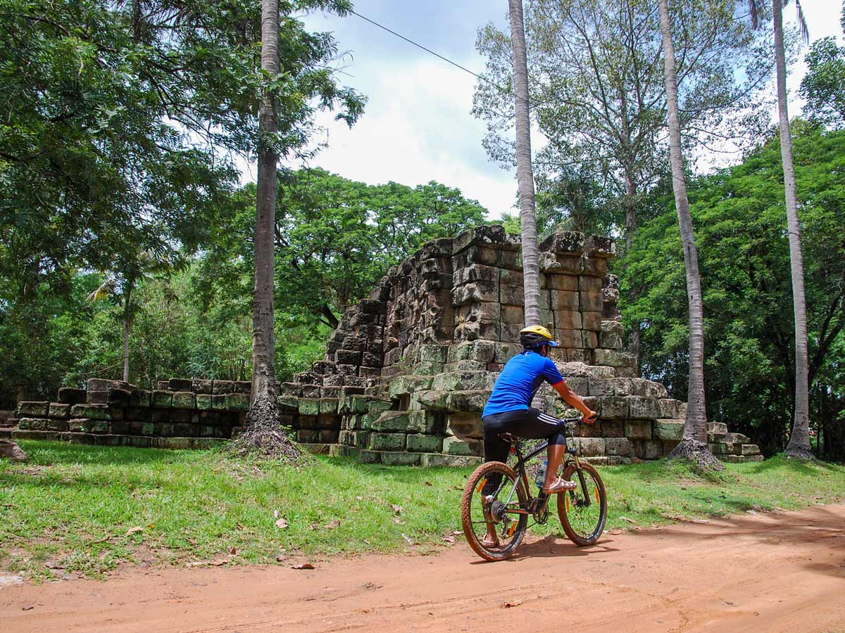 Biker cycling at rice lotus field