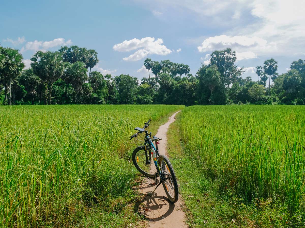 Crossing the farmland in Cambodia while on self-gudied biking tour to Angkor Wat