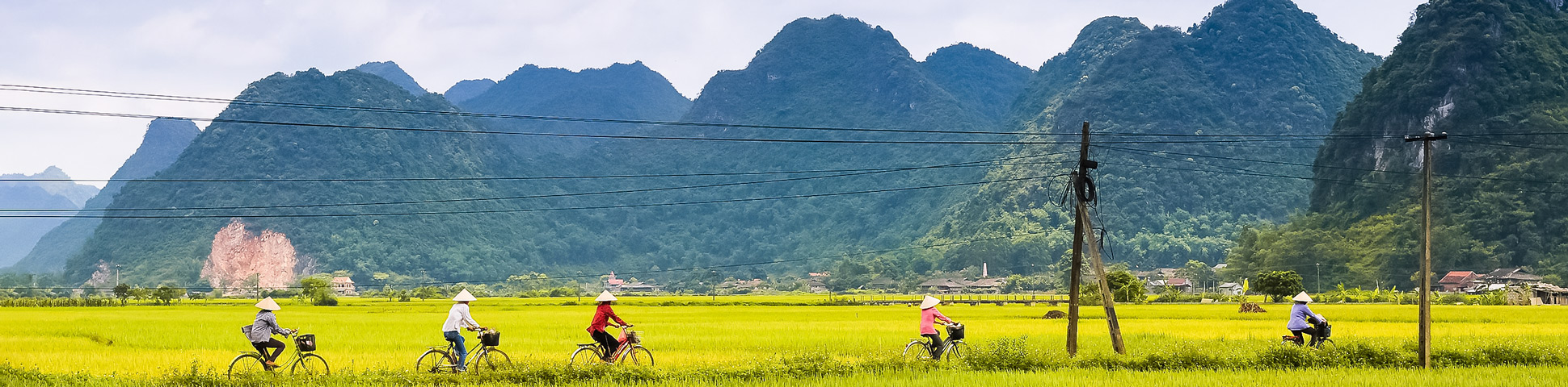 Cycle along Red River Delta