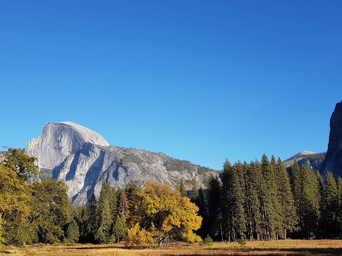 Looking at Half Dome from Yosemite Valley