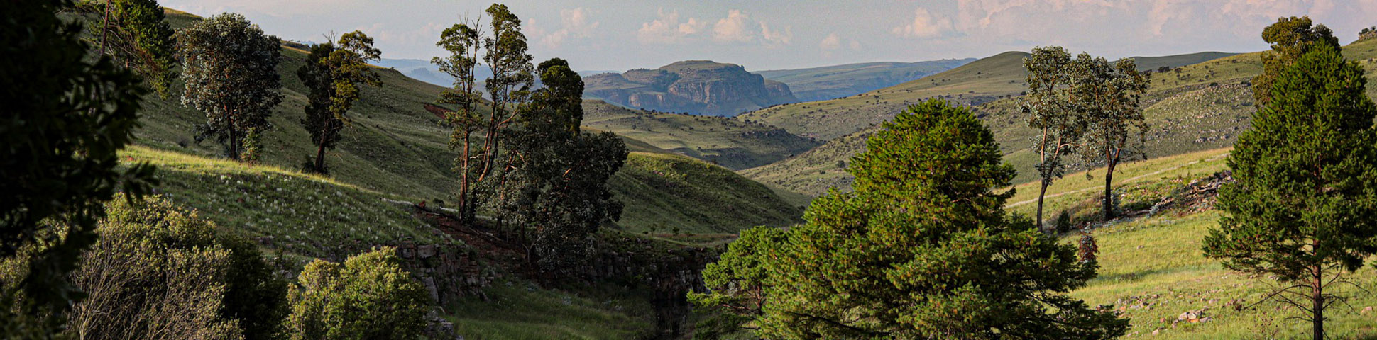 South Africa Family Tour