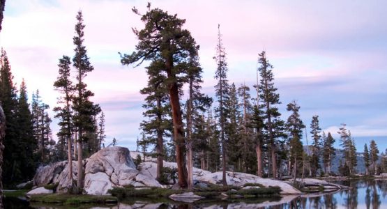 Backpacking in the Sierra Nevada Tour