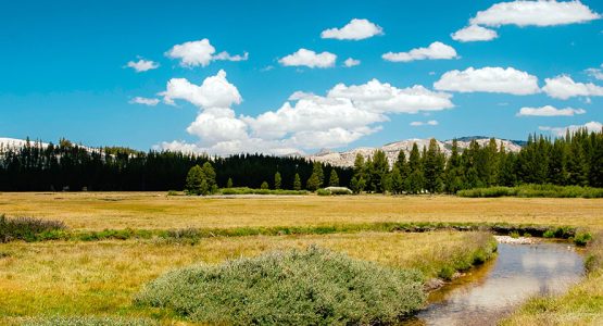 Grand Yosemite Traverse Tour with Horseback Support