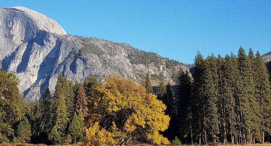 Yosemite Falls Backpacking Tour