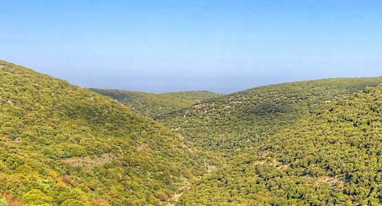 Israel Sea to Sea Hiking Tour