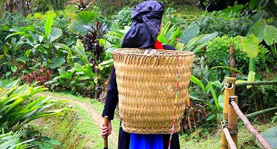 Northern Vietnam Hiking Tour
