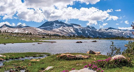 Grand Yosemite Traverse Tour with Horseback Support