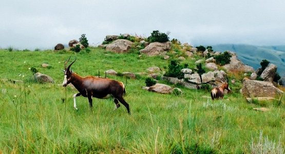 South Africa Hiking Tour