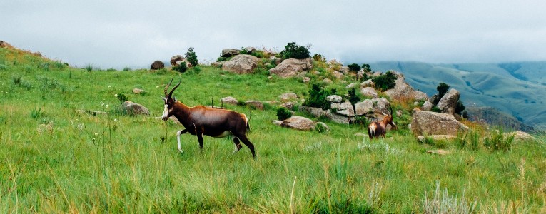 South Africa Hiking Tour