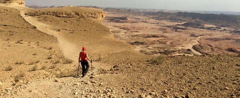 Negev Desert Hiking Tour