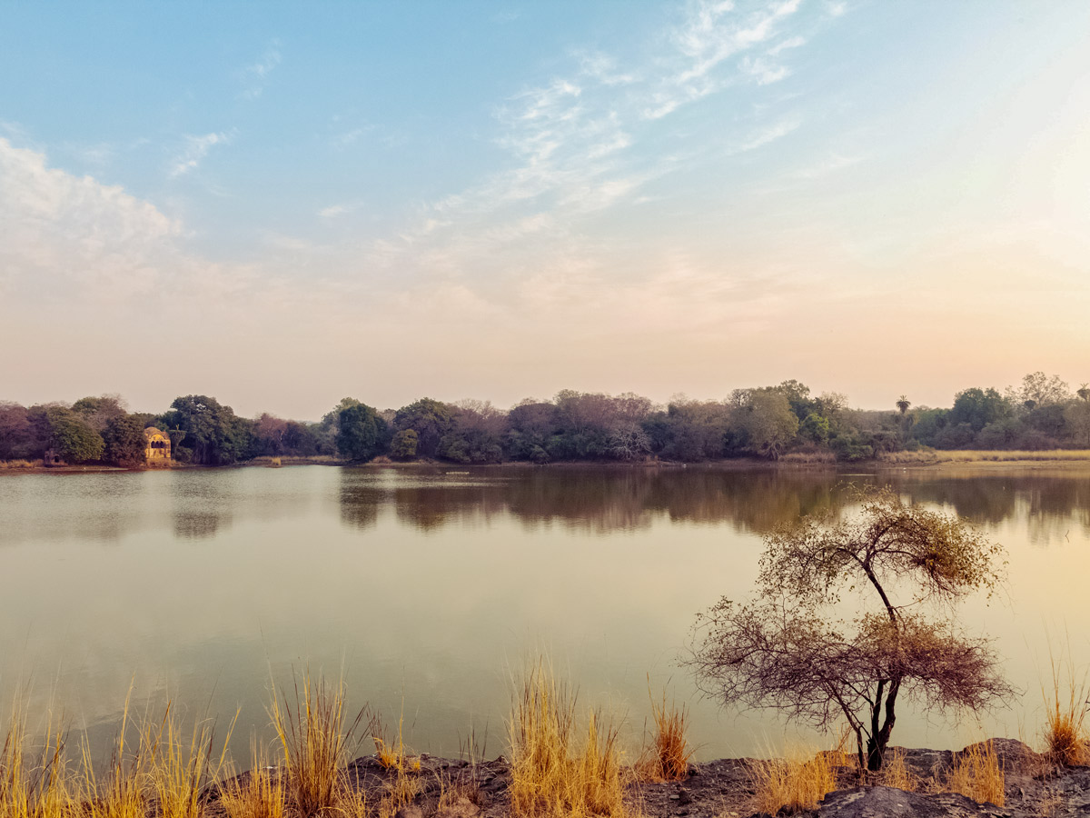 Beautiful calm river peaceful grasslands seen along wildlife and culture tour in India