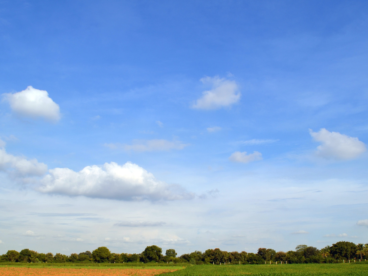 Rural farmland in Bangalore Hoysala India