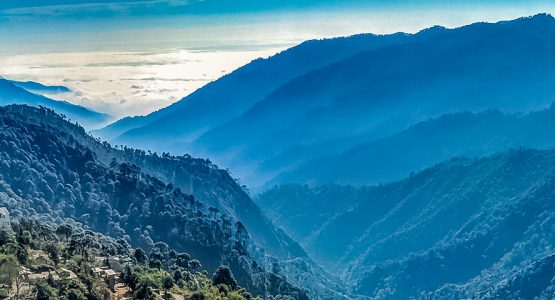 Himalayas and Tigers Safari Tour