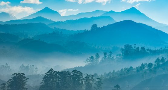 Scenic Kerala Cycling Tour