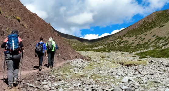 Snow Leopard and Tiger Trekking Safari