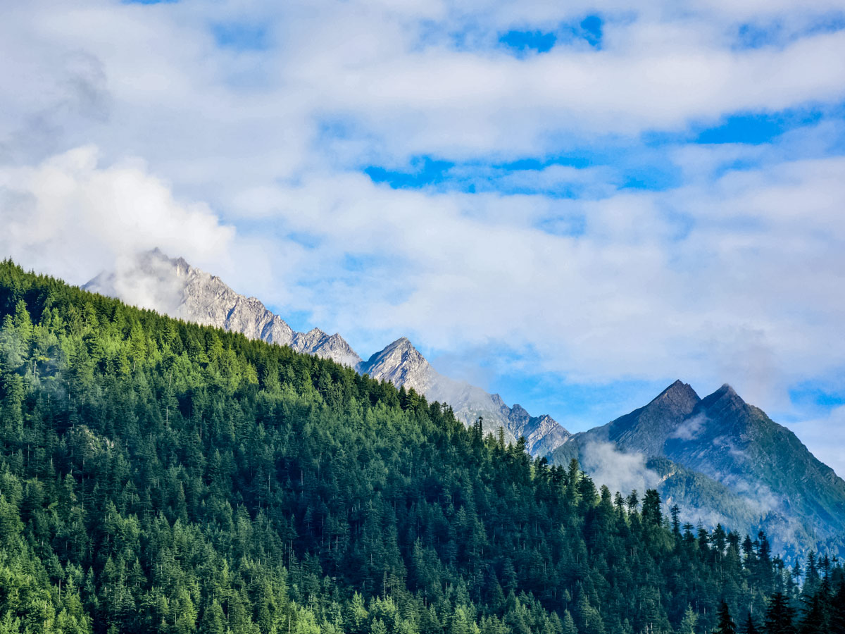 Forest and stunning Himalayan mountain peaks seen along safari tour in India