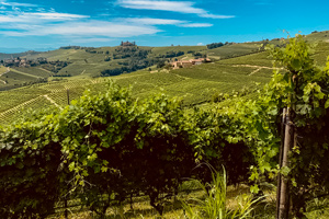 Langhe Walk