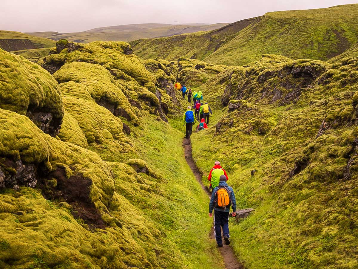 Day 4-Hiking through a land of green 'Trolls'