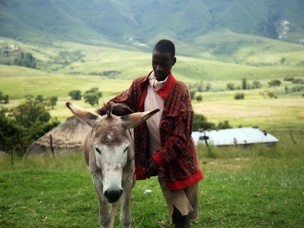 Young boy and a donkey in Lesotho guided Southern Africa Tour