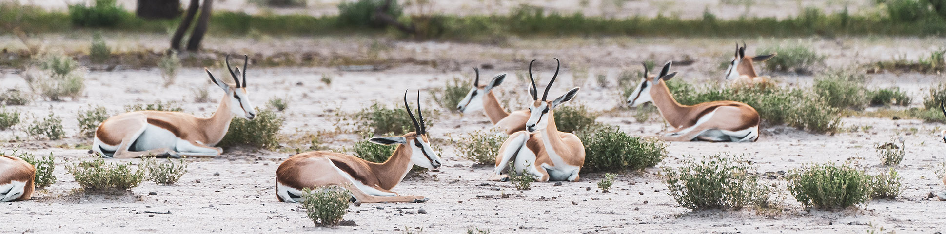 Southern Africa Self-Drive Camping Tour