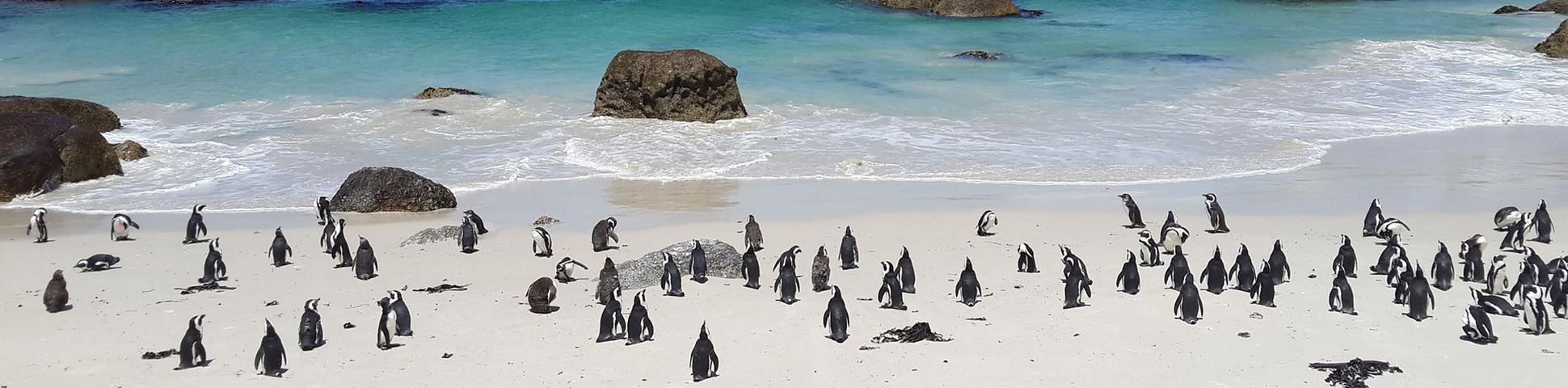 8-Day Western Cape Cycling Tour