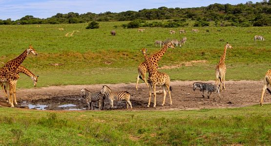 Ultimate Southern Africa Adventure Tour